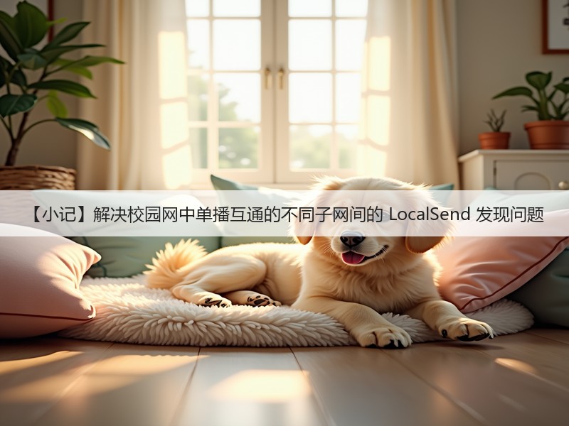 【小记】解决校园网中单播互通的不同子网间的 LocalSend 发现问题(图2) 【小记】解决校园网中单播互通的不同子网间的 LocalSend 发现问题(图2)