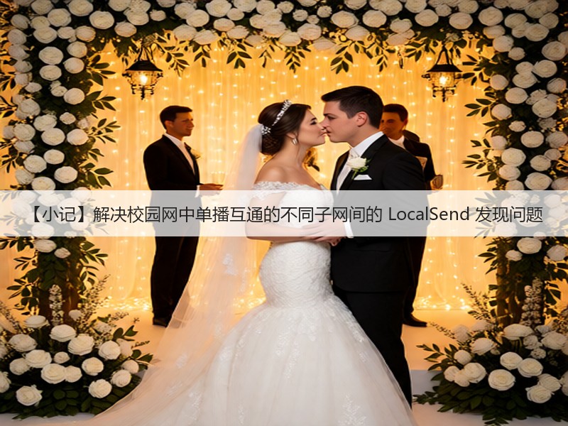 【小记】解决校园网中单播互通的不同子网间的 LocalSend 发现问题(图1)