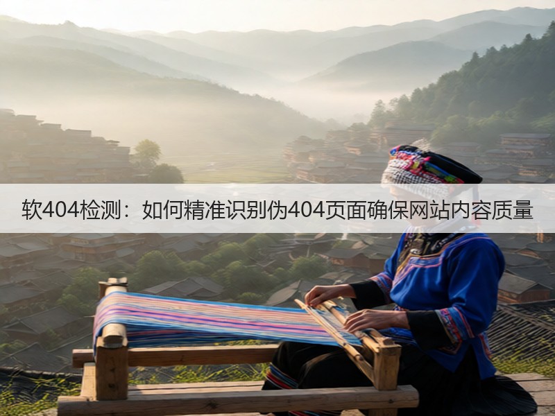 软404检测：如何精准识别伪404页面确保网站内容质量(图2)