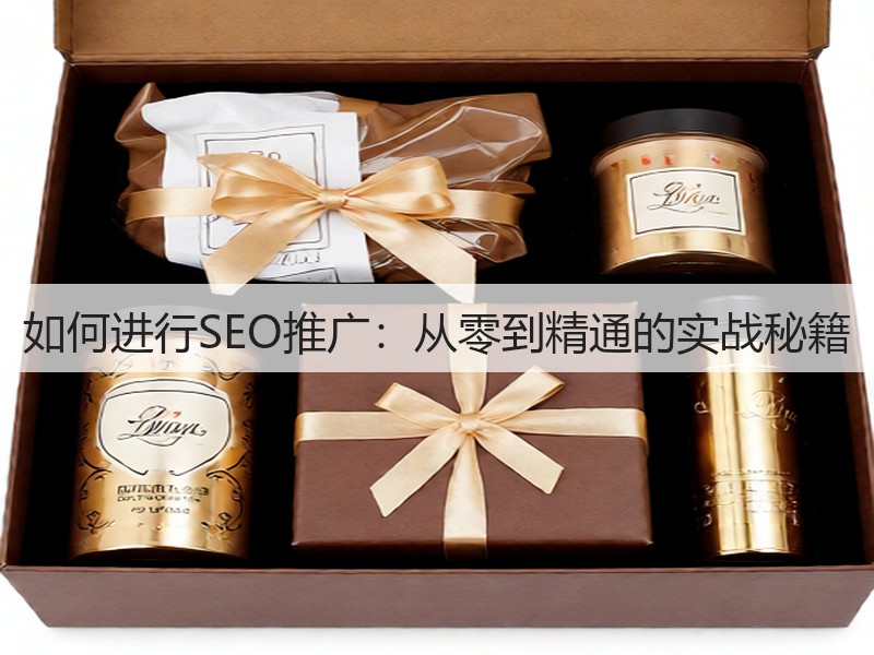 如何进行SEO推广：从零到精通的实战秘籍(图3)