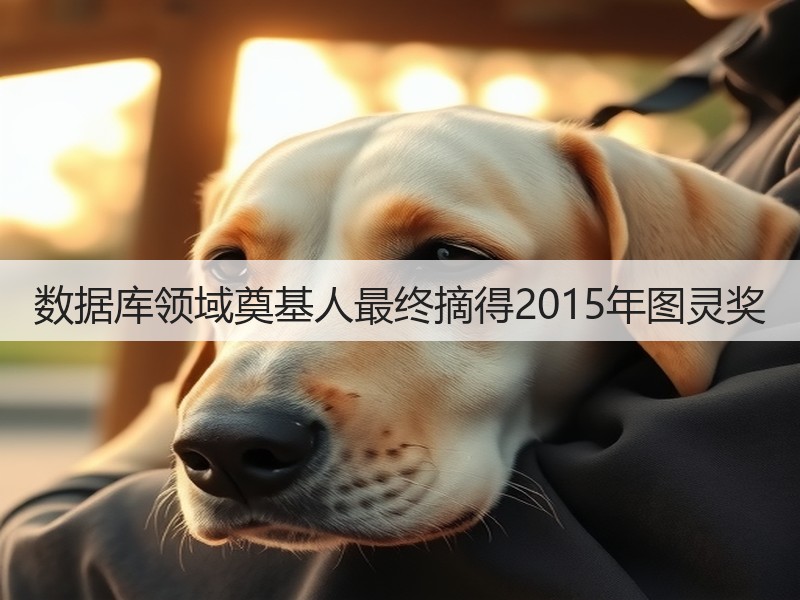 数据库领域奠基人最终摘得2015年图灵奖(图3)