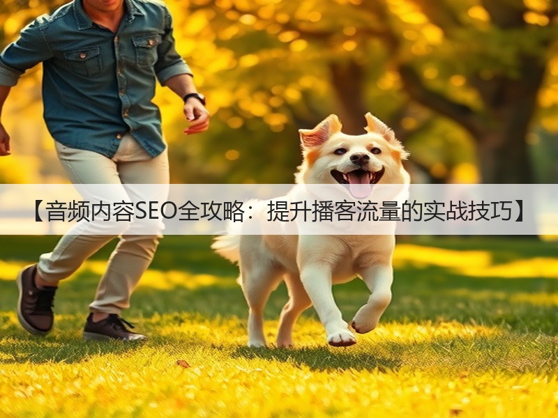 【音频内容SEO全攻略：提升播客流量的实战技巧】(图2)