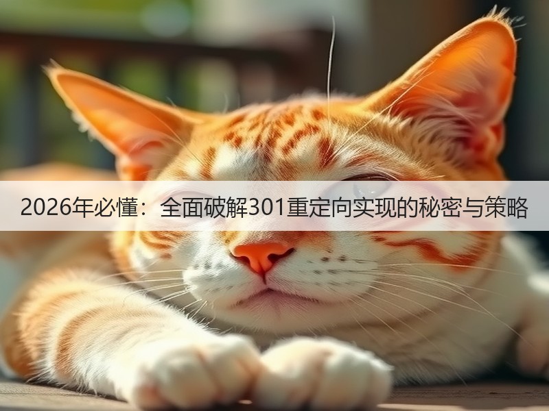 2026年必懂：全面破解301重定向实现的秘密与策略(图3)