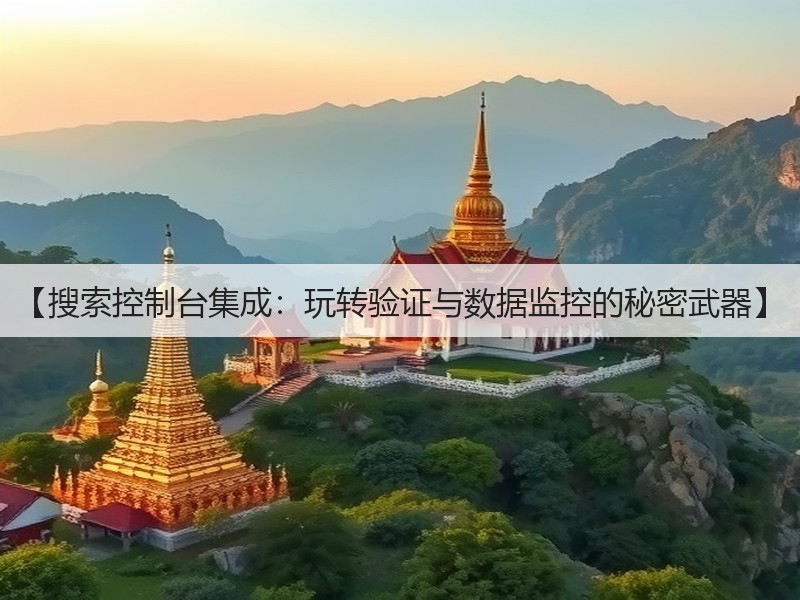 【搜索控制台集成：玩转验证与数据监控的秘密武器】(图2)