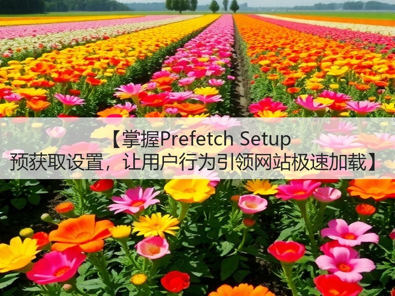 【掌握Prefetch Setup 预获取设置，让用户行为引领网站极速加载】(图3)