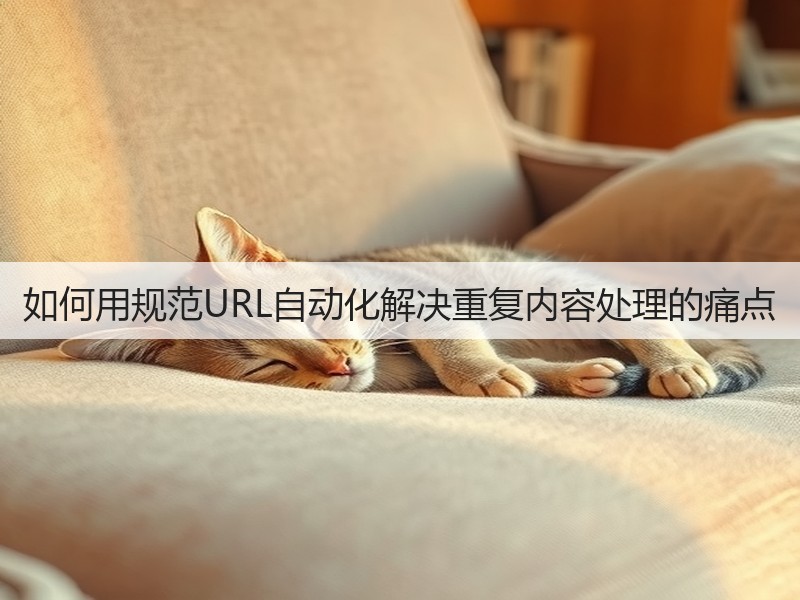 如何用规范URL自动化解决重复内容处理的痛点(图3)