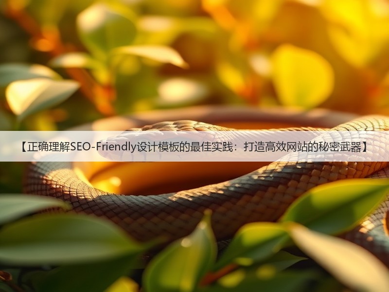 【正确理解SEO-Friendly设计模板的最佳实践：打造高效网站的秘密武器】(图2)