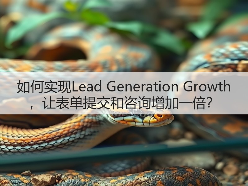 如何实现Lead Generation Growth ，让表单提交和咨询增加一倍？(图2)