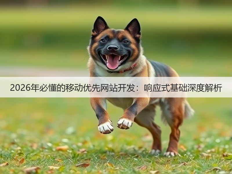 2026年必懂的移动优先网站开发：响应式基础深度解析(图3)