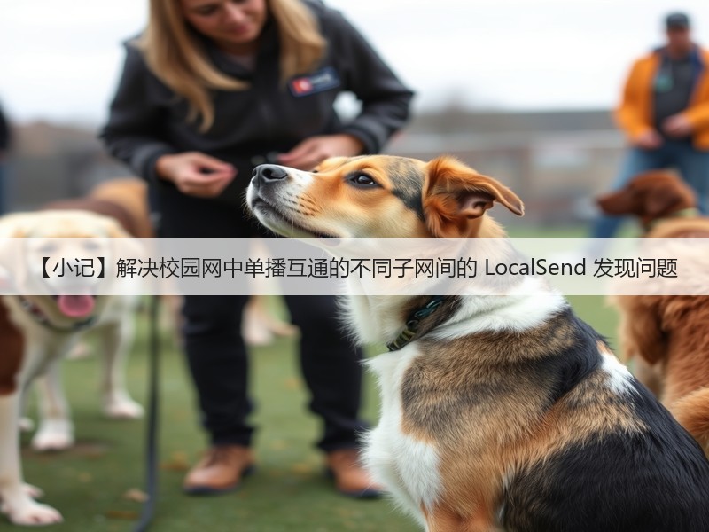【小记】解决校园网中单播互通的不同子网间的 LocalSend 发现问题(图1) 【小记】解决校园网中单播互通的不同子网间的 LocalSend 发现问题(图1)