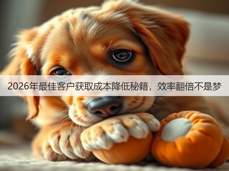 2026年最佳客户获取成本降低秘籍,效率翻倍不是梦(图1) 2026年最佳客户获取成本降低秘籍,效率翻倍不是梦(图1)