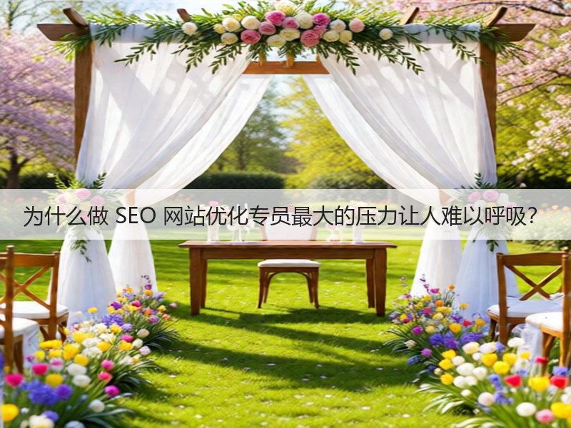 为什么做 SEO 网站优化专员最大的压力让人难以呼吸？(图3)