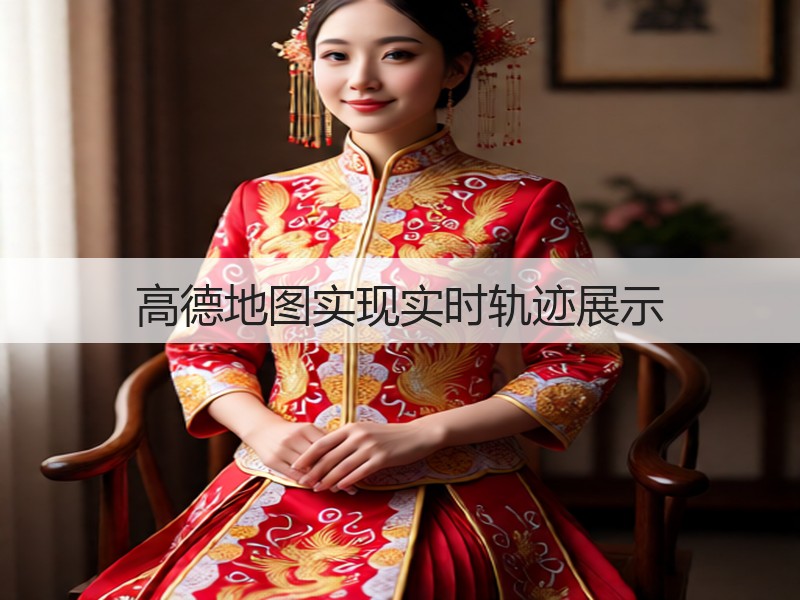高德地图实现实时轨迹展示(图2)