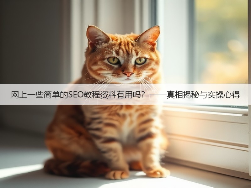 网上一些简单的SEO教程资料有用吗？——真相揭秘与实操心得(图3)