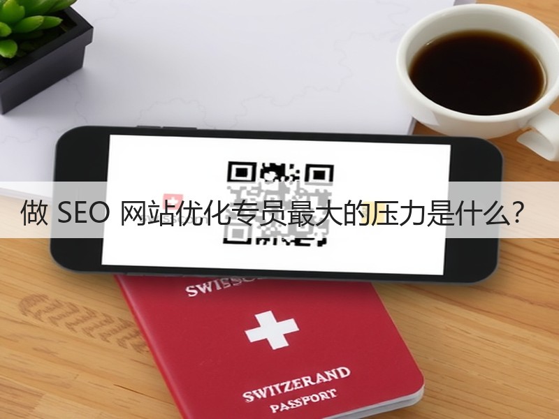 做 SEO 网站优化专员最大的压力是什么?(图3) 做 SEO 网站优化专员最大的压力是什么?(图3)