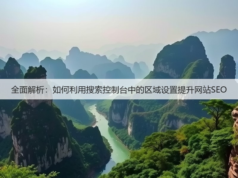 全面解析：如何利用搜索控制台中的区域设置提升网站SEO(图2)