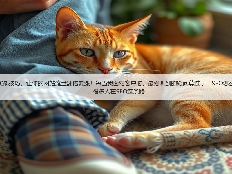 网站怎么做SEO优化呢？揭秘实战技巧，让你的网站流量翻倍暴涨！每当我面对客户时，最爱听到的疑问莫过于“SEO怎么做才能真正有效果？”事实上，很多人在SEO这条路(图3)