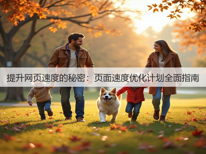 提升网页速度的秘密：页面速度优化计划全面指南(图1)