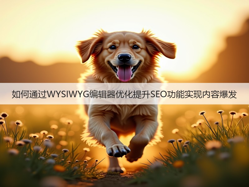 如何通过WYSIWYG编辑器优化提升SEO功能实现内容爆发(图3) 如何通过WYSIWYG编辑器优化提升SEO功能实现内容爆发(图3)