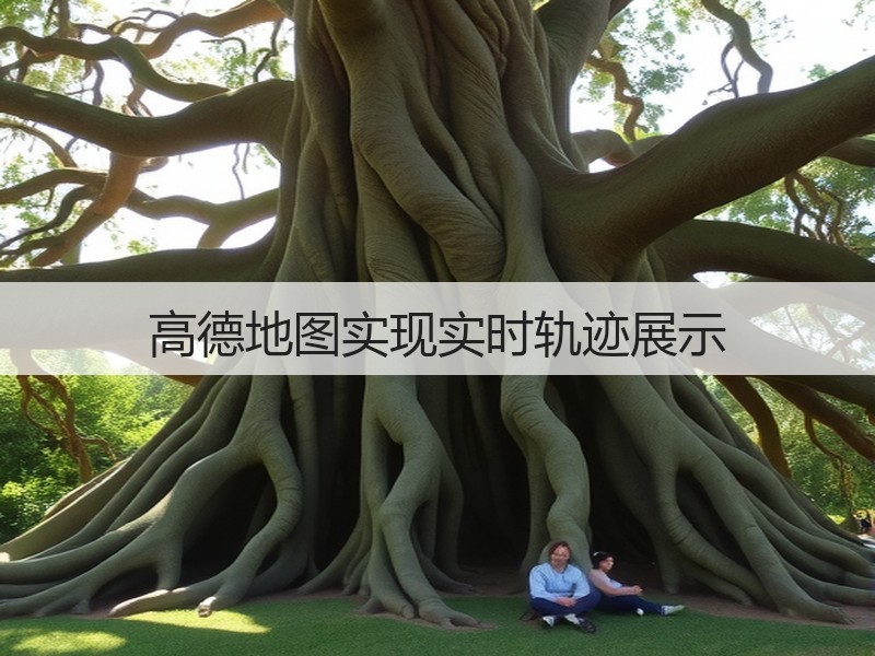高德地图实现实时轨迹展示(图2)