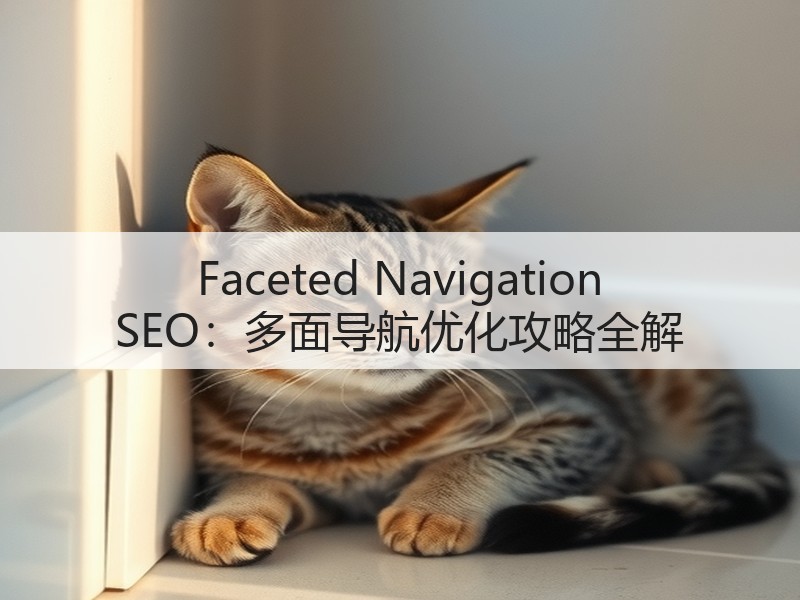 Faceted Navigation SEO：多面导航优化攻略全解(图2)