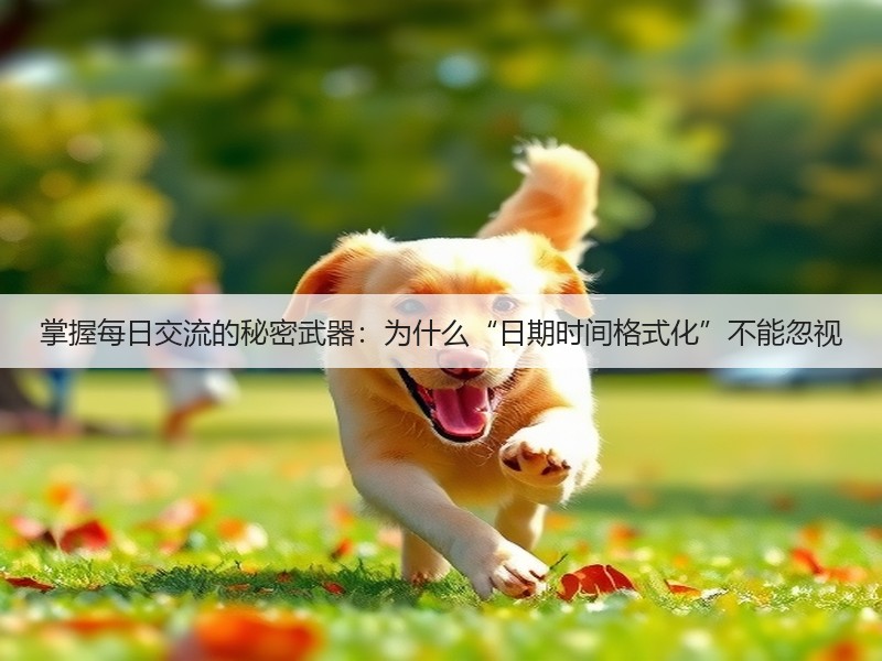 掌握每日交流的秘密武器：为什么“日期时间格式化”不能忽视(图3)
