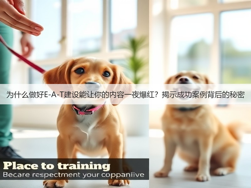 为什么做好E-A-T建设能让你的内容一夜爆红？揭示成功案例背后的秘密(图1)