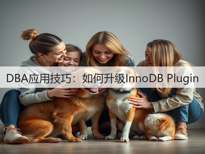 DBA应用技巧：如何升级InnoDB Plugin(图2)
