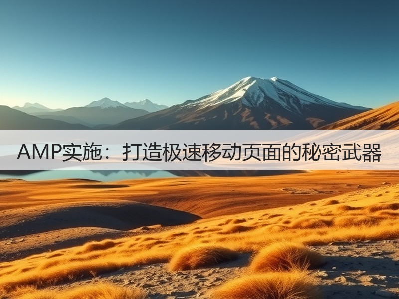 AMP实施：打造极速移动页面的秘密武器(图3)