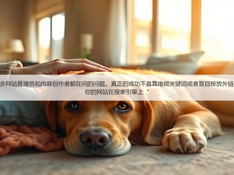 网站怎么做SEO优化呢？这是许多网站管理员和内容创作者都在问的问题。真正的成功不是靠堆砌关键词或者盲目投放外链，而是通过科学、系统的方法让你的网站在搜索引擎上“(图2)