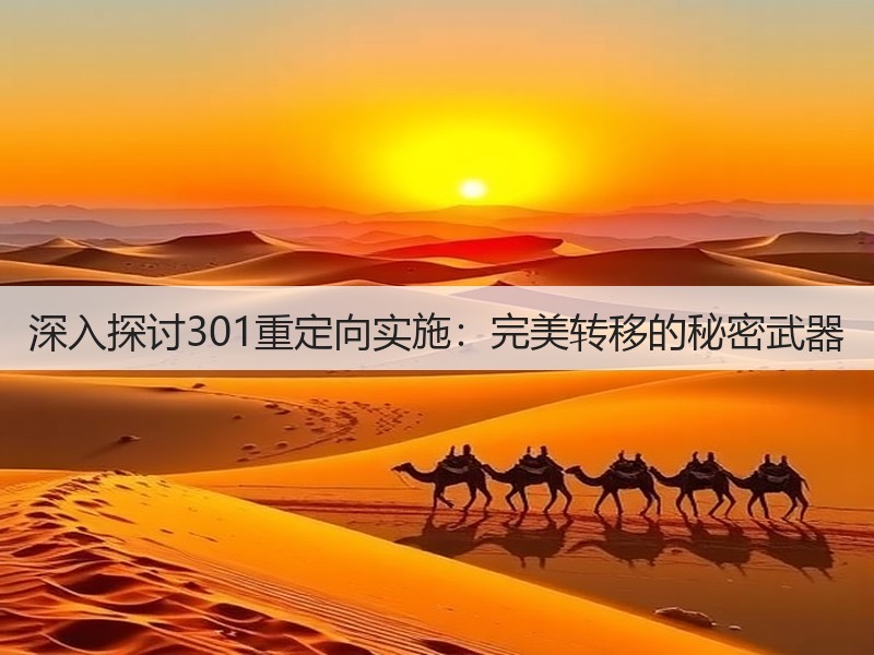 深入探讨301重定向实施：完美转移的秘密武器(图2)