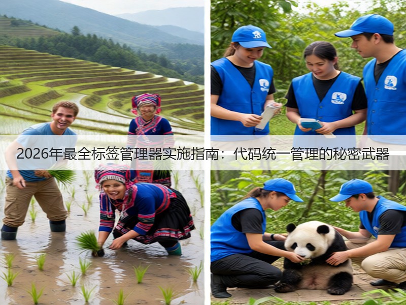 2026年最全标签管理器实施指南:代码统一管理的秘密武器(图1) 2026年最全标签管理器实施指南:代码统一管理的秘密武器(图1)