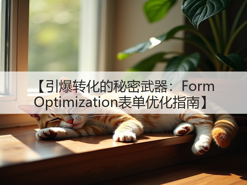 【引爆转化的秘密武器：Form Optimization表单优化指南】(图2)