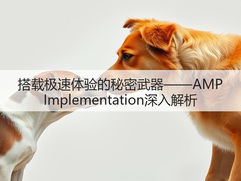 搭载极速体验的秘密武器——AMP Implementation深入解析(图2)