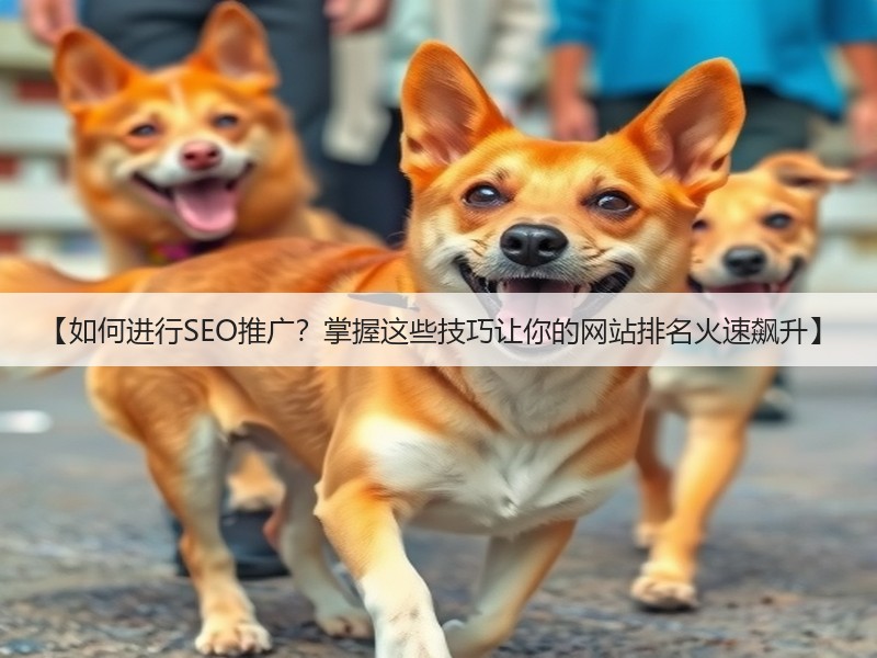 【如何进行SEO推广?掌握这些技巧让你的网站排名火速飙升】(图2) 【如何进行SEO推广?掌握这些技巧让你的网站排名火速飙升】(图2)
