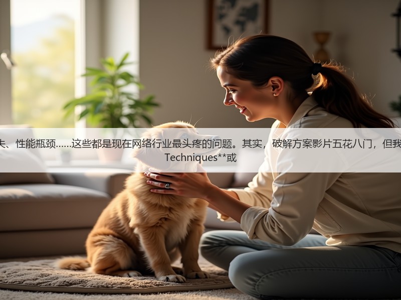 网页加载慢、用户流失、性能瓶颈……这些都是现在网络行业最头疼的问题。其实，破解方案影片五花八门，但我发现，**Prefetching Techniques**或(图2)