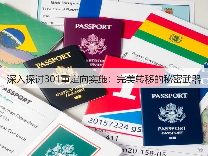 深入探讨301重定向实施：完美转移的秘密武器(图3)